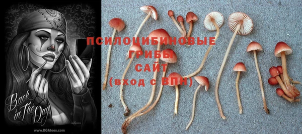 винт Арсеньев