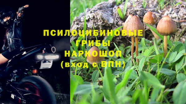 винт Арсеньев