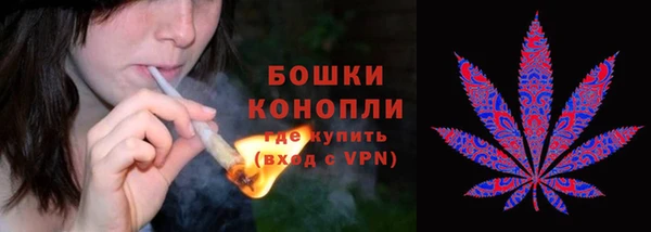 не бодяженный Аркадак