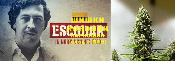 не бодяженный Аркадак