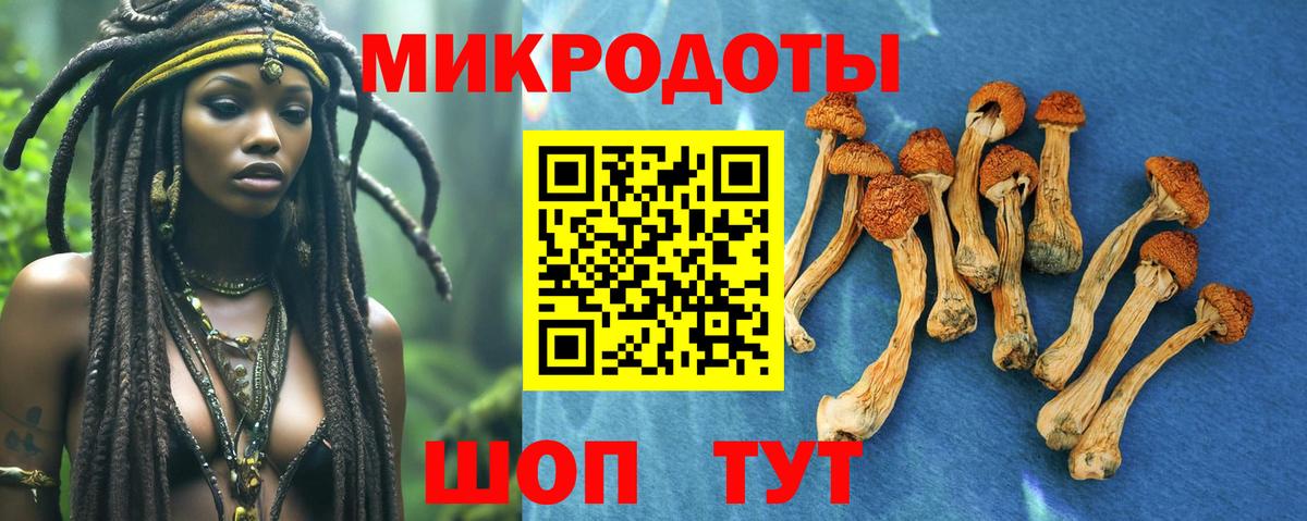 Псилоцибиновые грибы ЛСД  Вход с VPN  Галлюциногенные грибы мицелий  Полысаево 